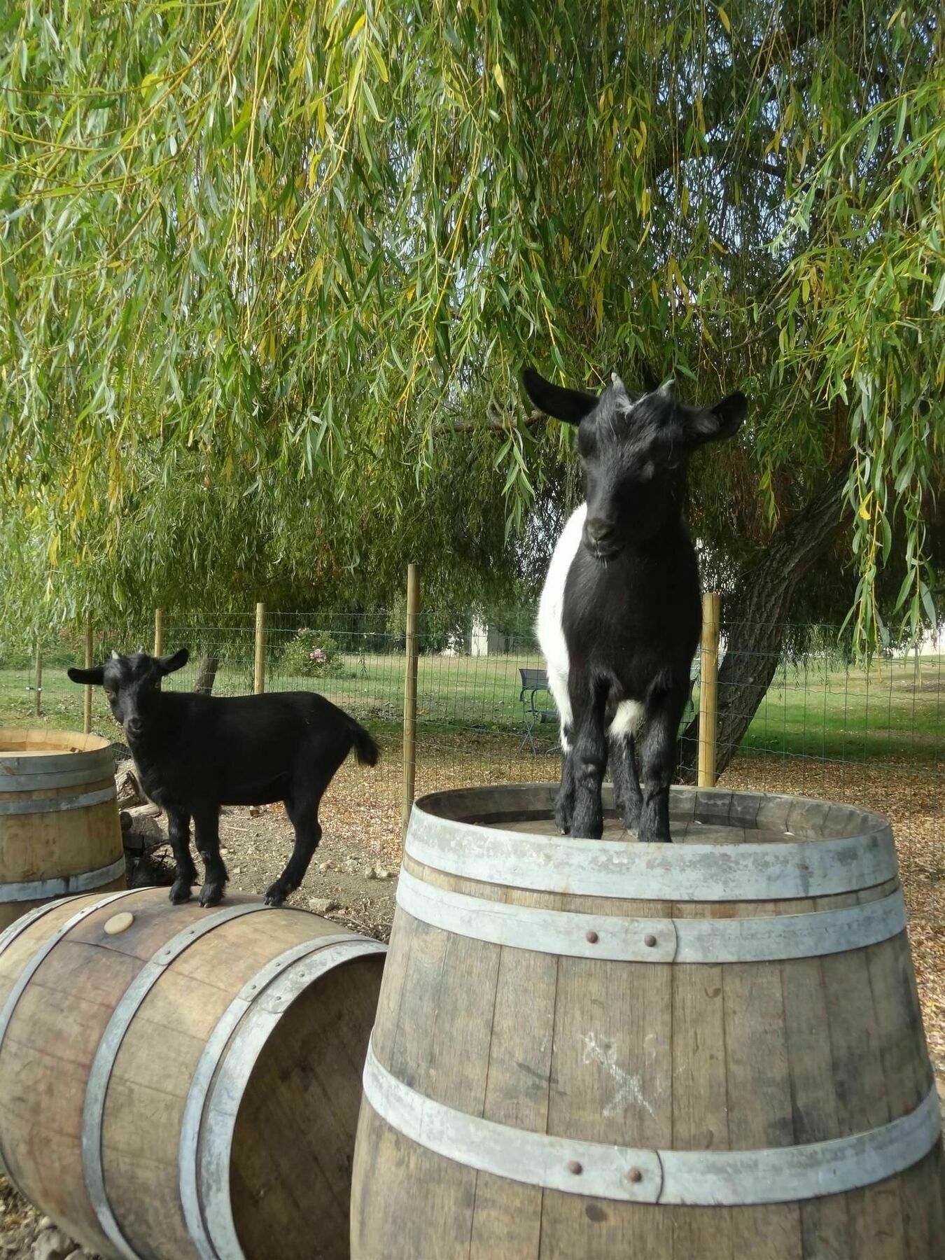 Kyriad Libourne Saint Emilion Esterno foto
